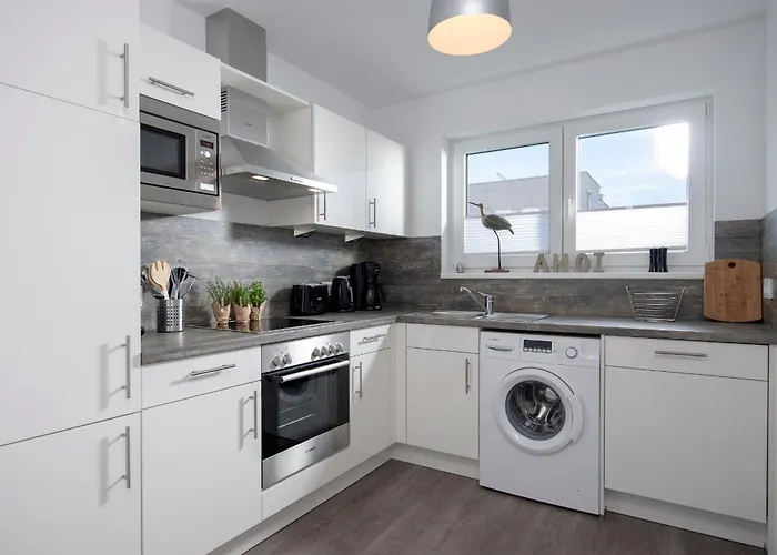 Silbermoewe * Olpenitz